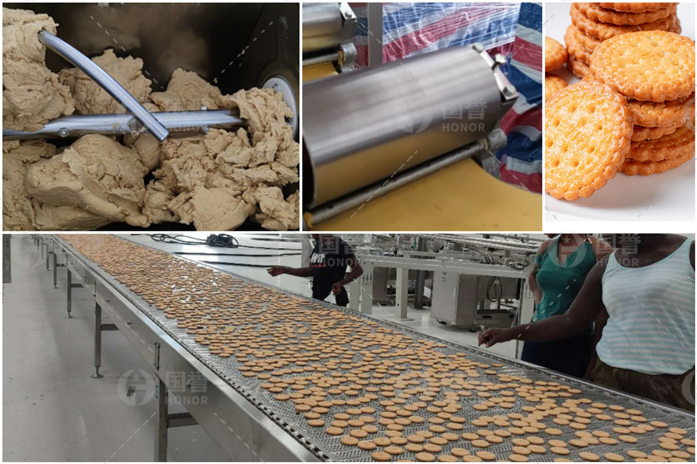 韧性饼干生产线全流程解析