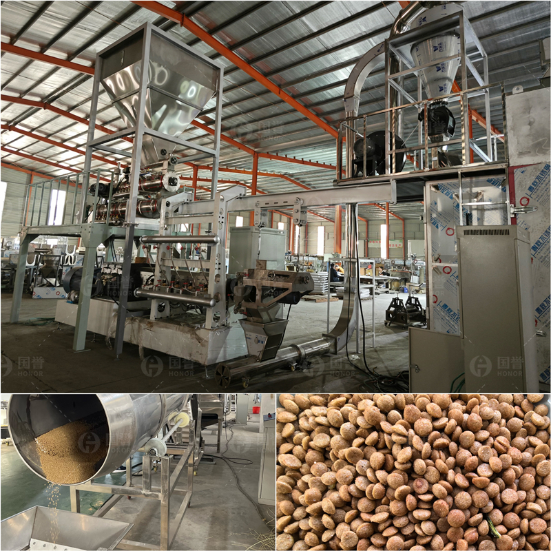 鱼饲料生产与膨化工艺全解析