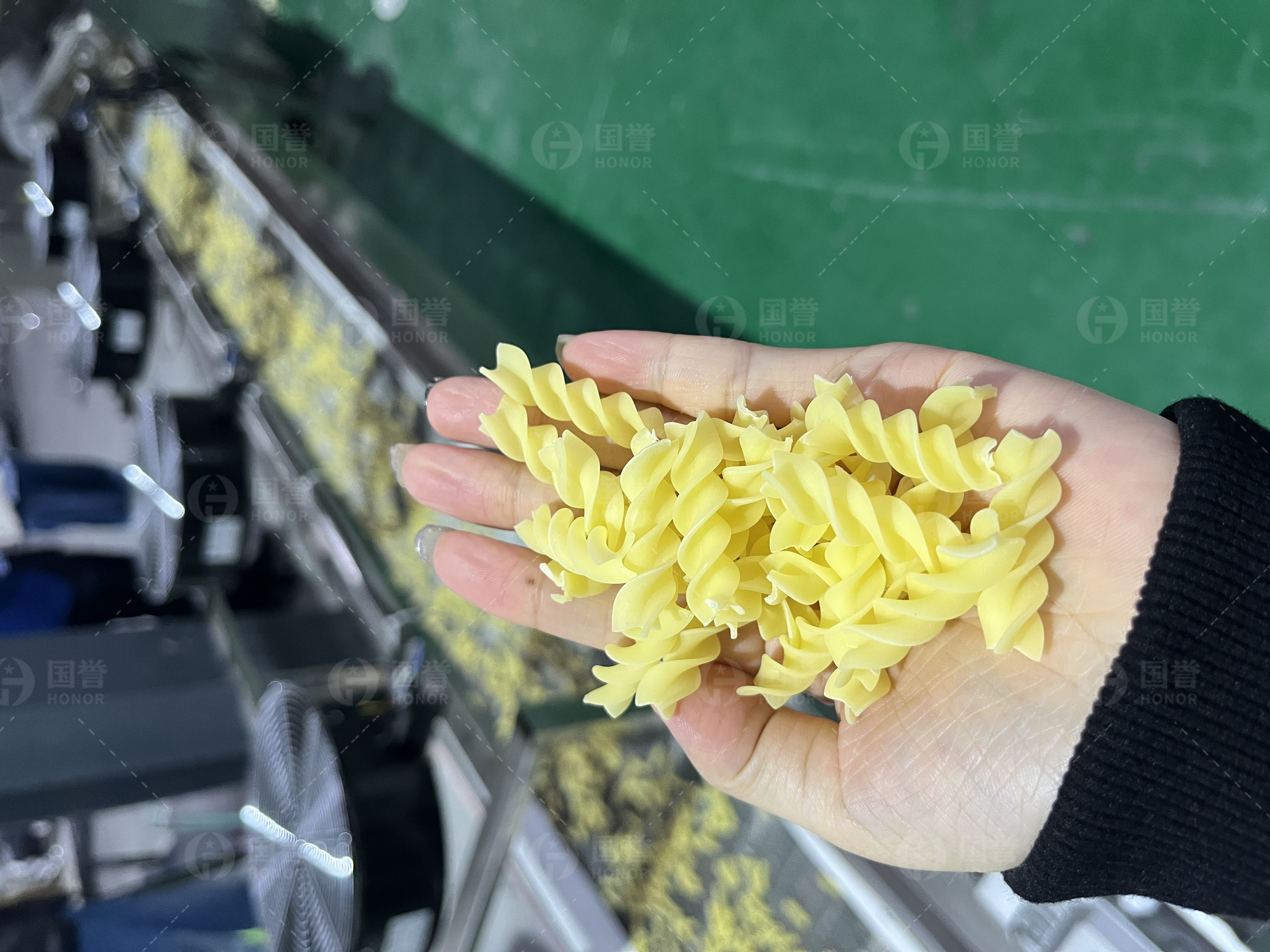 马里客户来工厂参观国誉的通心粉设备试机