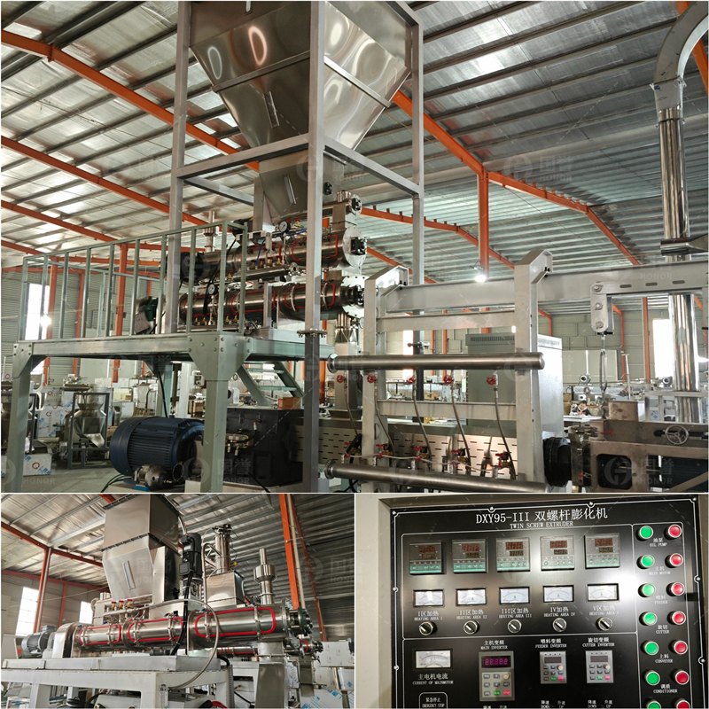 夹心宠物粮生产线